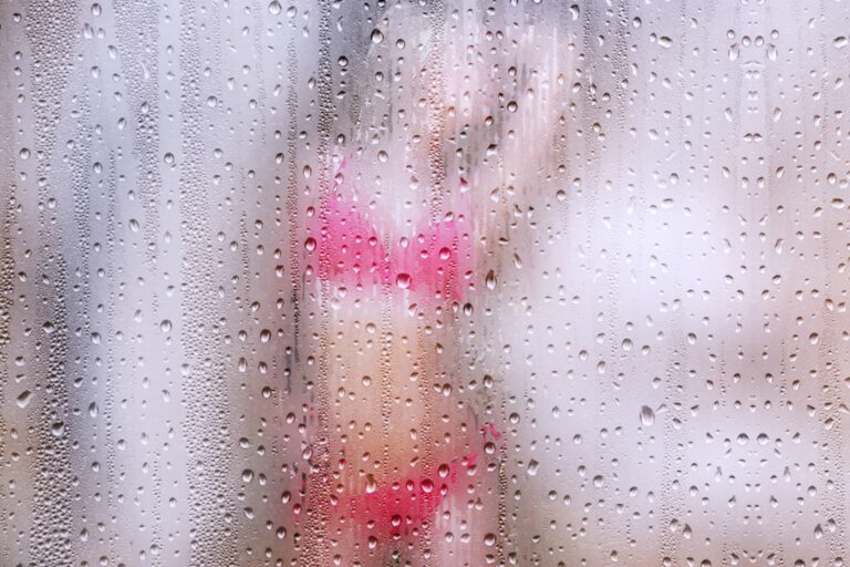 Sestra je želela đakuzi 5